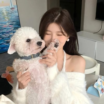 蜂群第一季
