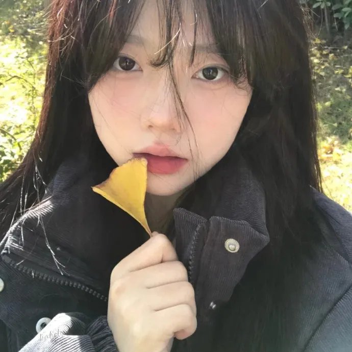 城迷